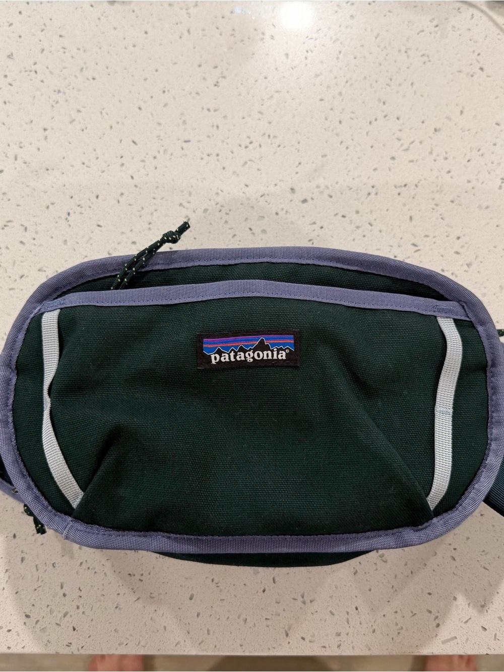 Patagonia Fieldsmith Hip Back